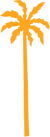 This image shows an orange silhouette of a palm tree against a transparent background, highlighting its tall trunk and fronds.